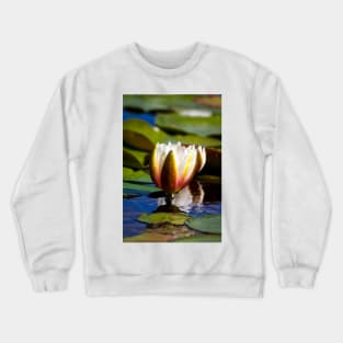 Water Lily Crewneck Sweatshirt